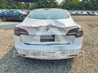 2020 Tesla Model 3 фото