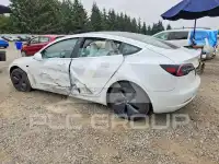 2020 Tesla Model 3 photo