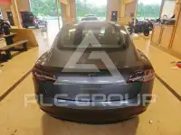 2020 Tesla Model 3 фото