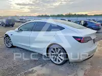 2020 Tesla Model 3 photo
