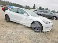2020 Tesla Model 3 photo