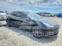 2020 Tesla Model 3 photo