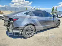 2020 Tesla Model 3 photo