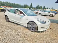 2020 Tesla Model 3 фото