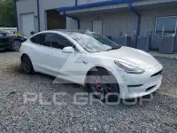 2020 Tesla Model 3 photo