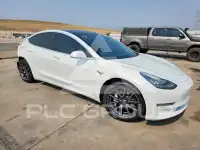 2020 Tesla Model 3 photo