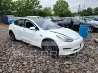 2020 Tesla Model 3 фото