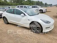 2020 Tesla Model 3 photo