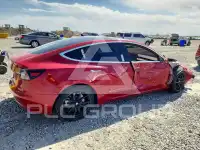 2020 Tesla Model 3 photo