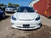 2020 Tesla Model 3 фото