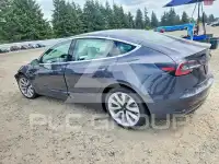 2020 Tesla Model 3 фото