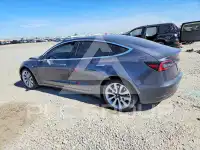 2020 Tesla Model 3 photo