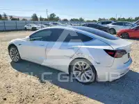 2020 Tesla Model 3 фото
