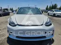 2020 Tesla Model 3 фото
