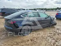 2020 Tesla Model 3 photo