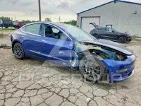 2020 Tesla Model 3 фото