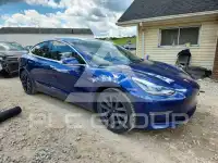 2020 Tesla Model 3 фото