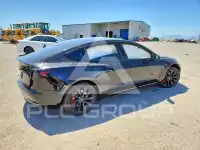 2020 Tesla Model 3 photo