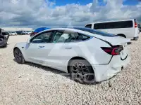2020 Tesla Model 3 photo