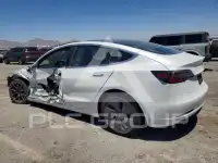 2020 Tesla Model 3 photo