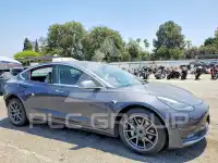 2020 Tesla Model 3 фото