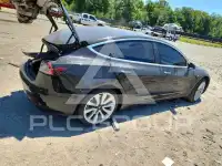 2020 Tesla Model 3 фото