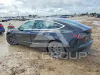 2020 Tesla Model 3 photo
