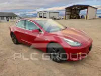 2020 Tesla Model 3 фото