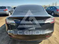 2020 Tesla Model 3 фото