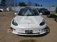 2020 Tesla Model 3 photo
