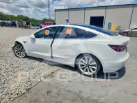 2020 Tesla Model 3 photo