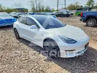 2020 Tesla Model 3 фото