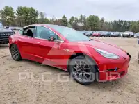 2020 Tesla Model 3 photo