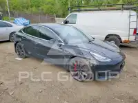 2020 Tesla Model 3 photo