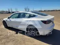 2020 Tesla Model 3 фото