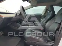 2020 Tesla Model 3 photo