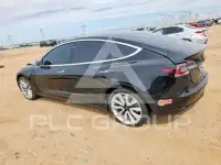 2020 Tesla Model 3 фото