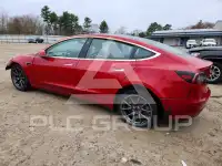 2020 Tesla Model 3 photo