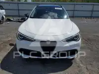 2020 Alfa Romeo Stelvio photo