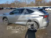 2020 Lexus NX фото