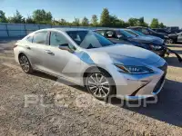 2020 Lexus ES300 photo