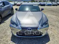 2020 Lexus ES300 фото