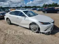 2020 Lexus ES300 photo
