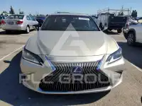 2020 Lexus ES300 photo