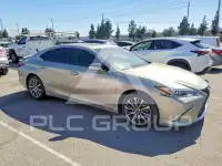 2020 Lexus ES300 photo