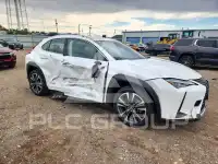 2020 Lexus Other фото