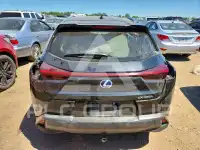 2020 Lexus UX250 фото