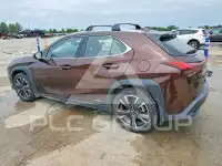 2020 Lexus Other фото