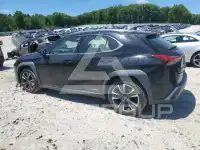 2020 Lexus UX250 фото