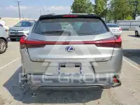 2020 Lexus Other фото